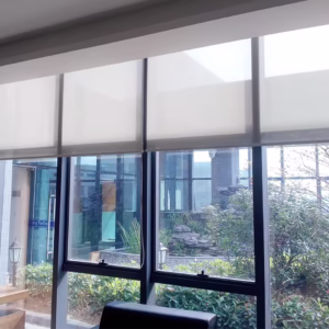 Vertical-Blinds-in-a-Modern-Office-UAE